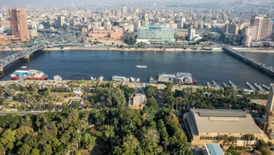 القطاع-الخاص-المصري-يجذب-نحو-16-مليار-دولار-تمويلات-ميسّرة-بـ5-سنوات