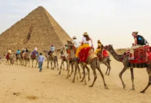 رغم-الحرب.-التفاؤل-يسيطر-على-القطاع-السياحى