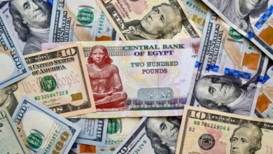 سعر-الدولار-خلال-تعاملات-بنوك-مصر-اليوم-الثلاثاء-22-يوليو-2025.-أدنى-49-جنيهًا