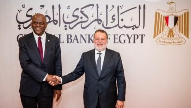 محافظ-“المركزي-المصري”-يبحث-مع-نظيره-النيجيري-تعزيز-التعاون-المشترك