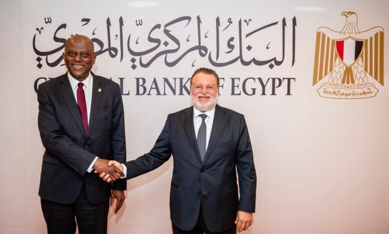 محافظ-“المركزي-المصري”-يبحث-مع-نظيره-النيجيري-تعزيز-التعاون-المشترك