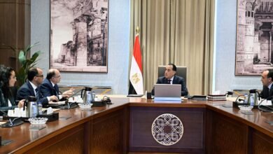 رئيس-الوزراء-يلتقي-رئيس-هيئة-الدواء-المصرية-لاستعراض-مشروع-التتبع-الدوائي-الوطني