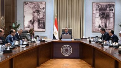 رئيس-الوزراء-يستعرض-الموقف-التنفيذي-لحوكمة-إجراءات-التصالح-وتقنين-أراضي-الدولة