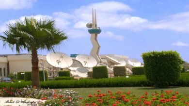 “نايل-سات”-تقترح-توزيع-نصف-دولار-للسهم