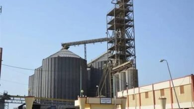 «مطاحن-وسط-وغرب-الدلتا»-تضخ-350-مليون-جنيه-لتطوير-مطحن-المحلة 