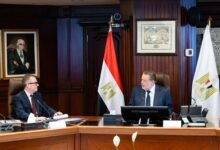 تنسيق-بين-“المركزي-المصري”-و”التخطيط”-لضمان-الاستقرار-النقدي-ودفع-عجلة-التنمية