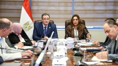 لجنة-مشتركة-لإعادة-هيكلة-وزارة-التنمية-المحلية-والبيئة-بعد-الدمج