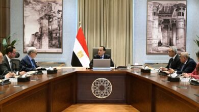 الحكومة-تعتزم-نقل-40-شركة-إلى-صندوق-مصر-السيادي