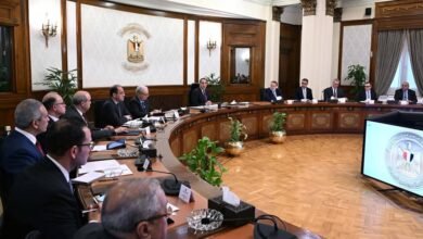 رئيس-الوزراء-يترأس-اجتماع-المجموعة-الوزارية-الاقتصادية