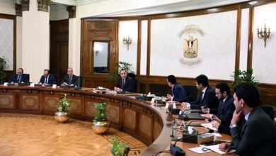 رئيس-الوزراء-يبحث-مع-“سكاتك”-النرويجية-موقف-مشروعاتها-بمصر-والخطط-المستقبلية-لها