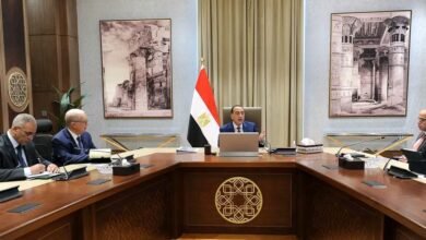 رئيس-الوزراء-يتابع-جهود-صندوق-مصر-السيادى-فى-تعظيم-العائد-من-أصول-الدولة