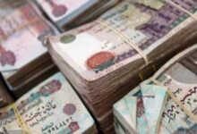 «فيتش»:-البنوك-المصرية-تواجه-تداعيات-التوترات-الإقليمية-بأعلى-مستويات-سيولة-دولارية