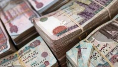 «فيتش»:-البنوك-المصرية-تواجه-تداعيات-التوترات-الإقليمية-بأعلى-مستويات-سيولة-دولارية