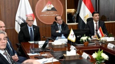 الحكومة-تناقش-توصيات-مجموعة-مراجعة-برنامج-تنمية-صناعة-السيارات