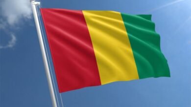 غينيا-تدرس-إصدار-صكوك-بقيمة-500-مليون-دولار