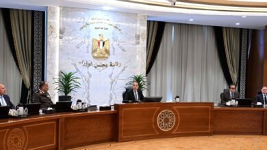 رئيس-الوزراء:-نسعى-لحماية-الاقتصاد-المصري-من-تأثيرات-العمليات-العسكرية-الإقليمية