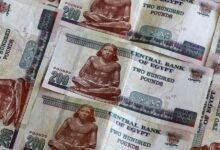 380-مليار-جنيه-زيادة-في-إيرادات-مصر-الضريبية-بـ8-أشهر-2025-2026