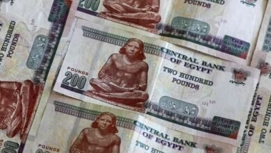 380-مليار-جنيه-زيادة-في-إيرادات-مصر-الضريبية-بـ8-أشهر-2025-2026