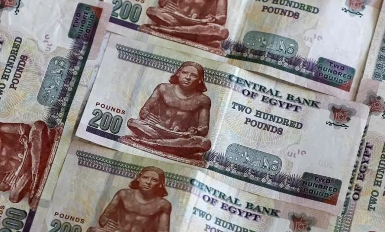 380-مليار-جنيه-زيادة-في-إيرادات-مصر-الضريبية-بـ8-أشهر-2025-2026