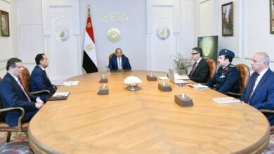 “السيسي”-يوجه-بتعزيز-الأمن-الغذائي-وتوسيع-المخزون-الاستراتيجي-وضبط-الأسواق