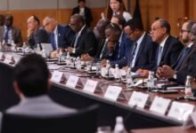 وزير-الخارجية-يدعو-لإصلاح-النظام-الاقتصادى-العالمى-ودعم-الدول-النامية