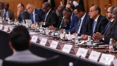 وزير-الخارجية-يدعو-لإصلاح-النظام-الاقتصادى-العالمى-ودعم-الدول-النامية