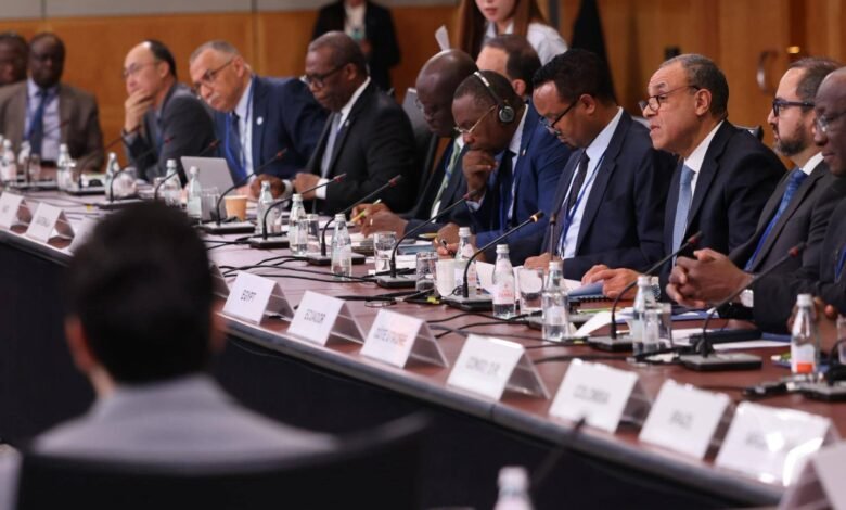 وزير-الخارجية-يدعو-لإصلاح-النظام-الاقتصادى-العالمى-ودعم-الدول-النامية