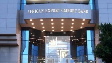 أفريكسيم-بنك-يحقق-48.5-مليار-دولار-إجمالى-أصول-والتزامات-فى-2025