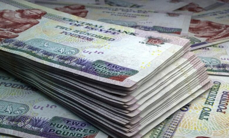 الحكومة-تستهدف-تحصيل-23-مليار-جنيه-من-ضريبة-الدخل-على-الجهات-العامة