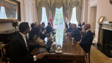 وزير-المالية:-نتطلع-لتعزيز-التعاون-مع-“hsbc”-في-جذب-التدفقات-الاستثمارية-بتمويلات-مبتكرة