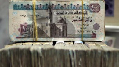 13-بنكًا-فى-مصر-تتخطى-الربع-الأول-بأرباح-50-مليار-جنيه.-رغم-التحديات