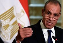 وزير-الخارجية-يؤكد-أهمية-الشراكة-الاستراتيجية-والشاملة-بين-مصر-والاتحاد-الأوروبي