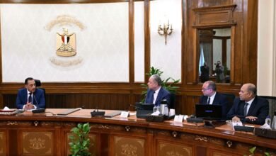 egypt-prepares-to-launch-2nd-phase-of-decent-life-initiative-after-completing-826-villages