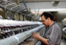“الوزراء”:-العاملون-بالقطاع-الخاص-يتجاوزون-80%-من-إجمالي-المشتغلين-2024