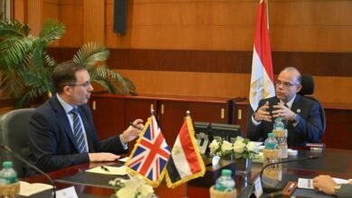 egypt,-uk-discuss-expanding-trade,-investment,-and-pharmaceutical-cooperation