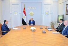 al-sisi-reviews-egypt’s-2026-2030-industrial-strategy,-targets-$100bn-in-non-oil-exports