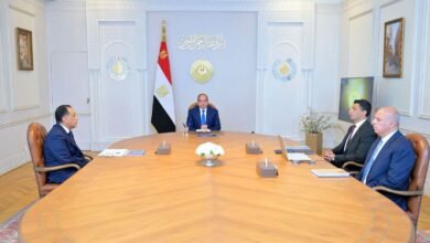 al-sisi-reviews-egypt’s-2026-2030-industrial-strategy,-targets-$100bn-in-non-oil-exports