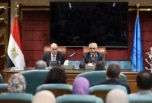 egypt-prioritises-maximising-state-assets,-expanding-private-sector-partnerships:-military-production-minister