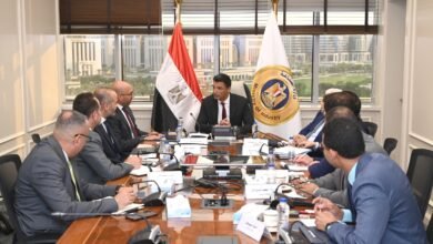 industry-minister-reviews-abb-egypt’s-expansion-plans,-backs-growth-in-electrical-manufacturing