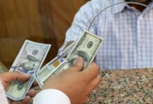 %13.5-نمواً-في-تحويلات-المصريين-بالخارج-خلال-مايو-الماضي
