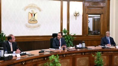 madbouly-reviews-progress-of-egypt’s-renewable-energy-projects,-stresses-timely-implementation,-financing