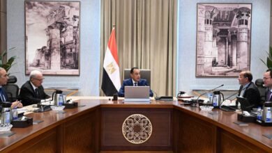 egyptian-government-outlines-second-tax-facility-package-targeting-industry-and-capital-markets