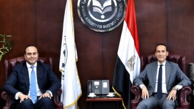 strong-domestic,-international-demand-fuels-investment-in-egypt’s-healthcare:-gafi