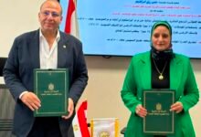 igc-expands-egypt-operations-with-500-kv-power-transmission-project