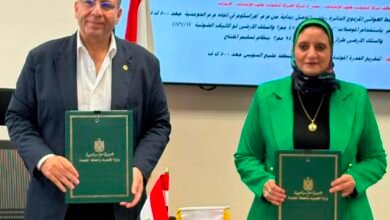 igc-expands-egypt-operations-with-500-kv-power-transmission-project