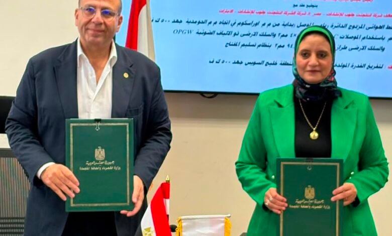 igc-expands-egypt-operations-with-500-kv-power-transmission-project