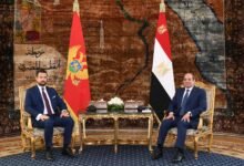 egypt,-montenegro-seek-closer-economic-ties,-reaffirm-support-for-two-state-solution