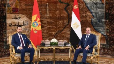egypt,-montenegro-seek-closer-economic-ties,-reaffirm-support-for-two-state-solution