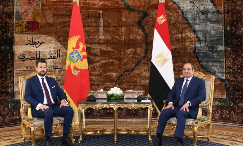 egypt,-montenegro-seek-closer-economic-ties,-reaffirm-support-for-two-state-solution