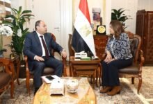 upper-egypt-development-projects-integrate-environmental-standards-in-new-government-review
